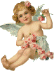 AngelPic94.gif (19489 bytes)